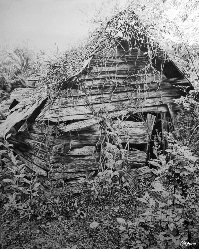 The Cabin